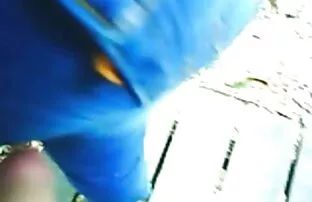 XXX Uma pequena sexo selvagem com loira e gira pega asiática e Pum