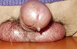 XXX Ladyboy mulheres fazendo sexo selvagem Sexy masturba-se com força no Cam