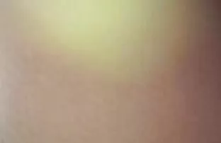 XXX Rocking chair dildo action with super hot xvideos selvagem